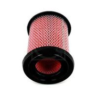 NIPPON PIECES SERVICES Filtro de aire (de coche) para NISSAN: King Cab (Ref: N132N40)