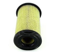 NIPPON PIECES SERVICES Filtro de aire (de coche) para NISSAN: NP300, King Cab (Ref: N132N50)