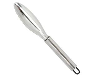 NIRJIK Descamador de pescado de acero inoxidable, descamador para pescado, removedor de escamas de pescado, pelador de limpieza descamador de pescado diente de sierra herramienta descamadora de
