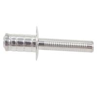 NIRNHYRUR Remaches Remache Ciego de Acero Inoxidable de Alta Resistencia, 30/50 Piezas, Gran área de Apoyo Lateral Ciego(4x12 Mm,30Pcs)