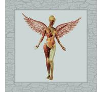 Nirvana – In Utero 30 Aniversario – 8LP Vinilo Edición Súper Deluxe