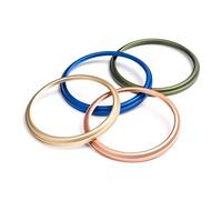 NiSi Kit de anillos Fujifilm X100 (oro, oro rosa, verde, azul)