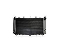 NISSENS 606538 Radiador, refrigeración del motor