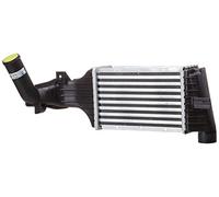 NISSENS 96788 Intercooler Compatible con OPEL Astra G CC T98 Astra G Caravan T98 Zafira A Monovolumen T98 Astra G Sedán T98 Astra G Classic Hatchback T98 Astra G Classic Caravan F35