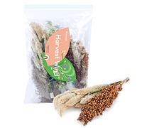 Niteangel Lecho Natural y Suave para Hámster: Decoración del Hábitat para Pequeños Animales como Hámsters Enanos Sirios, Gerbos, Ratones, Degús, Conejos u Otros Animales(Versión de Poema Natural)
