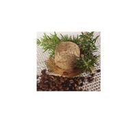 Nitx Champú Sólido Estimulante Anticaída 85 g