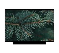 NIUGEGEGUO Triton 500 PT515-51-71PZ,Compatible con Predator, Pantalla LCD | NV156FHM-N4K, Compatible con Acer, 15,6 pulgadas, 144 HZ, matriz LED delgada, pantalla LCD