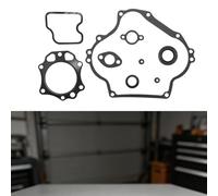 NiuLumea Juego completo de juntas FE290 para motor de carrito, compatible con Precedent 1992 en adelante, para sustituir a 1023047-01 6751, sello de alto rendimiento