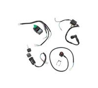 NiuLumea Kit de reconstrucción de arnés de cableado y bobina de encendido para 50 cc, 70 cc, 90 cc, 110 cc y 125 cc para ATV Quad Buggy Go-Kart para LIFAN LONCIN Ducar