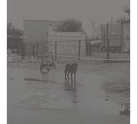 Nivhek - After Its Own Death / Walking In A Spiral Towards The House