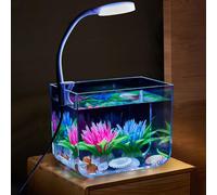 Niwugady Tanque de Acuario con luz de Abrazadera, Kit de iniciación de Acuario Cuadrado para decoración de Sala de Estar, Oficina, L