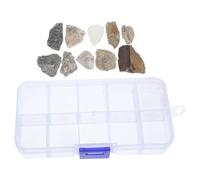 NIYANGLE 1 Caja Kit de Especímenes de Roca para Aula, 10 Tipos de Minerales Naturales, Colección Educativa, Muestra de Roca para Geología y Ciencias, Caja Didáctica Stem para Escuela y