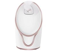 NIYANGLE 1 Juego De Vaporizador Facial Humidificador Portátil Humidificadores Para El Hogar Humidificador Portátil Para El Hogar Humidificador Facial Abs Golden Office Vaporizador Facial