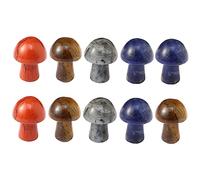 NIYANGLE Accesorios 10 Piezas Seta De Cristal Encantos De Miniaturas De Jardines De Hadas Floreros Decorativos Piedra Preciosa Mini Cristales De Amuleto Piedra