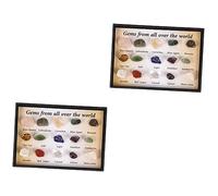 NIYANGLE Decoración De Mesa 2 Juegos Mineral Natural Muestra Mineral Irregular Especímenes Fósiles Minerales De De Rocas Metamórficas Piedra Natural Para Sanar Caja De Niño