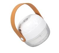 NIYANGLE Depiladora Eléctrica Recargable por USB Unidad Quitapelusas para Telas Recortadora Eléctrica de Bolas de Pelo para Ropa