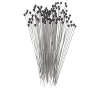 NIYANGLE Kit de 100 Alfileres de Fijación de Acero Inoxidable Tamaño 00 para Montaje de Muestras en Estudios Científicos y Exhibición de Insectos