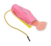 NIYANGLE Modelo Muscular Anatómico Realista Componentes Desmontables para Estudio Detallado en Enseñanza de Anatomía Humana y Fisiología Muscular