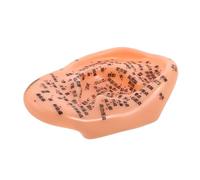 NIYANGLE Molde De Oreja Con Acupresión Kit De Práctica De Acupuntura Modelo De Estudio