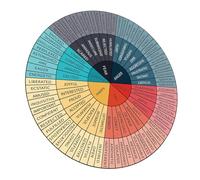 NIYANGLE Pegatina de Rueda de Emociones para Decoración de Pared en Aula Infantil, Adhesivo Circular Educativo para Desarrollo Emocional, Diseño Colorido para Jardín de Infantes