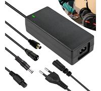 Nizirioo 42V 2A Cargador Patinete Electrico Cargador Hoverboard con 4 Adaptadores, Cargador Hoverboard, Universal DC 5,5mm, para Bicicleta Eléctrica XLR Conector