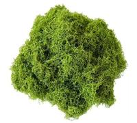 NJCXOLA 50g Musgo Artificial Simulación Suave Rizada para Manualidades Plantas Decoración del Hogar Tapetes Artístico Bonsai DIY (Verde Oscuro)