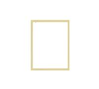 NJIEzhao Set de Marcos para Fotos Juego de Marcos Fotos magnéticos A5 A6, Cubierta Protectora, Carteles Adhesivos Reutilizables, 12 Uds(A6 Golden 12pcs)