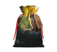 njkhbolk Bolsa de regalo con estampado de zorro de pájaro, suministros para fiestas de eventos, también se puede utilizar para regalar