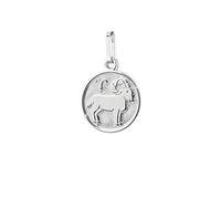 NKlaus Aries signo del zodiaco plata de ley 925 12mm colgante horóscopo del zodiaco 9137