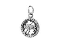 NKlaus cadena de plata de ley 925 colgante horóscopo signo del zodiaco Tauro 6318