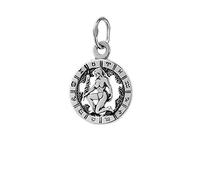 NKlaus Colgante de Plata de Ley 925 Horóscopo Signo del Zodiaco Virgo 6322