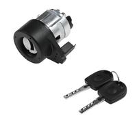 NKLDDE 3B0905855C Cilindro Cerradura Encendido Coche con 2 Llaves para Seat para Toledo II 1M2 1998 1999 2000 2001 2002 2003 2004 2005 2006