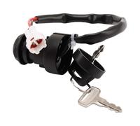 NKURTPC Interruptor de Encendido Ajuste para Raptor 660 700 Grizzly 125 350 Breeze 125 Interruptor de Llave de Encendido Cerradura de Motocicleta