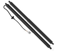 NMBNPKTUCU Eléctrico Amortiguador Maletero 106566400B 112969800A para Tesla para Modelo X 2015-2020 Alimentación(A Pair)