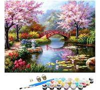 NNALEGS Pintura Por Numeros Adultos Paisaje Japones 40X50Cm Cuadros Para Pintar Por Numeros Niños Puente De Jardín Kit De Pintura Por Numeros Con Lienzo,C11