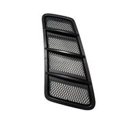 NNBINK Automóvil Rejillas Ventilación Capó Rejilla De Ventilación del Capó Compatible con Benz para W166 GL350 GL450 GLS450 ML350 ML400 GLE320 GLE400 A1668800205(Left)