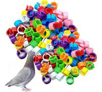 No. 001-500, anillo para patas de paloma de 8/10/12 mm, etiqueta de identificación de aves de corral en 10 colores, adecuado para pollos, patos y codornices (100 unidades) 10mm (0.39in)301-400