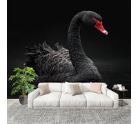 No autoadhesivo Mural fotográfico 200x140 cm RomáNtico Cisne Negro HD Papel Pintado Decoración de Pared Murales Pegatina Negro 3D Diseno Fotográfico Formato grande adhesivos