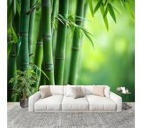 No autoadhesivo Mural fotográfico 300x210 cm Bosque De BambúNaturalezaPaisaje. HD Papel Pintado Decoración de Pared Murales Pegatina Verde 3D Diseno Fotográfico Formato grande adhesivos
