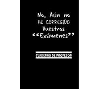 No Chicos! Aún no he corregido vuestros exámenes| Cuaderno del profesor y Agenda atemporal: Cuaderno de Líneas Original y Divertido Perfecto para regalar a Profesor o Maestra | 6X9 | 120 paginas