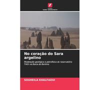 No coração do Sara argelino: Modelação geológica e petrofísica do reservatório TAGI na Bacia de Berkine