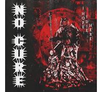 No Cure I Hope I Die Here 2x7" Sleeve Silver (CD) (Importación USA)