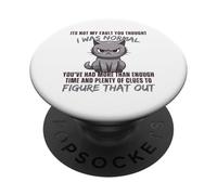 No es mi Culpa Que pensaras Que era un Gato Divertido Normal PopSockets PopGrip Adhesivo