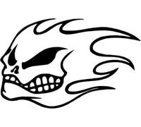 No Fear Skull Flame Vinyl Graphic Car Truck Windows Decor Decal Sticker - Die Cut Vinyl Decal for Windows, Cars, Trucks, Tool Boxes, laptops, MacBook - virtually Any Hard, Smooth Surface
