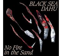No Fire In The Sand [Vinilo]
