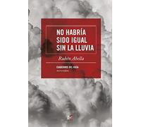 No habría sido igual sin la lluvia (Microrrelatos)