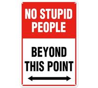 No Hay Gente Estúpida Más Allá De Este Punto Letrero De Metal Resistente Y Duradera Cartel De Chapa Divertido Cartel De Metal para Garaje Bar Hogar 20X30Cm