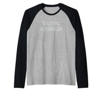 No Hay Tal Cosa como el Trabajo no calificado Camiseta Manga Raglan