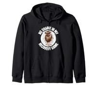No hay vergüenza en mi recuperación Juego Chica desordenado Bun Sobriedad AA NA Sudadera con Capucha