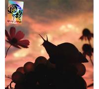 No Joy - Bugland [Vinilo]